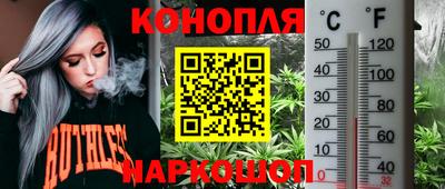 таблы Ставрополь