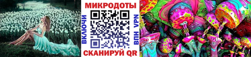 Псилоцибиновые грибы Magic Shrooms  купить  сайты  Туапсе 