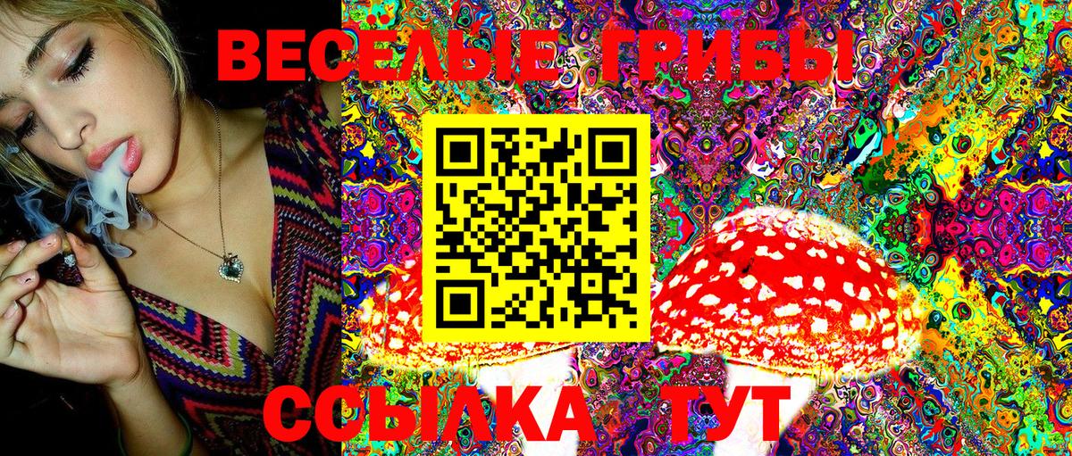 Псилоцибиновые грибы Psilocybe  Галлюциногенные грибы GOLDEN TEACHER  Вход с VPN  Туапсе 